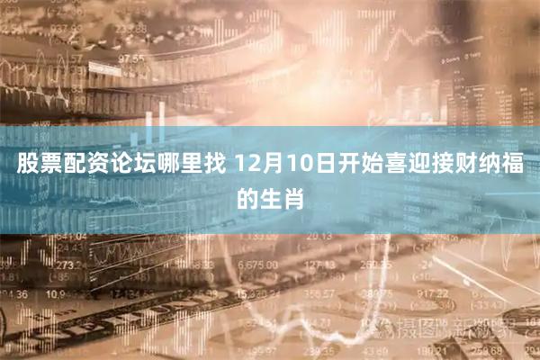 股票配資論壇哪里找 12月10日開始喜迎接財納福的生肖